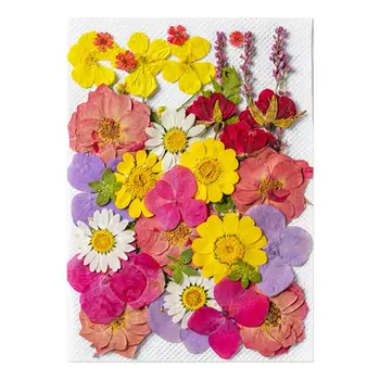 35 бр./кор. 3D сухи цветя, декорации за нокти, стикери с настоящите Сухоцветами, Дизайн Маникюр с ръцете си, аксесоари за нокти
