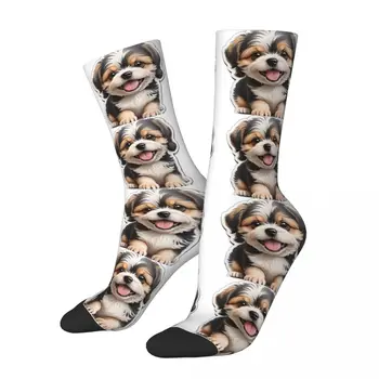 Сладки чорапи под формата на кученце, висококачествени чорапи в стил Харадзюку, всесезонни чорапи, аксесоари за подарък на мъж или жена за рожден ден