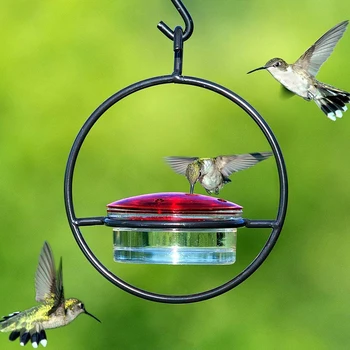 Тава за хранене колибри с червена стъклена като-чаша, а за колибри, който привлича птици за външна градина, двор, двор